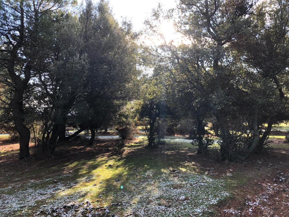 Apartament La Olma Guadarrama